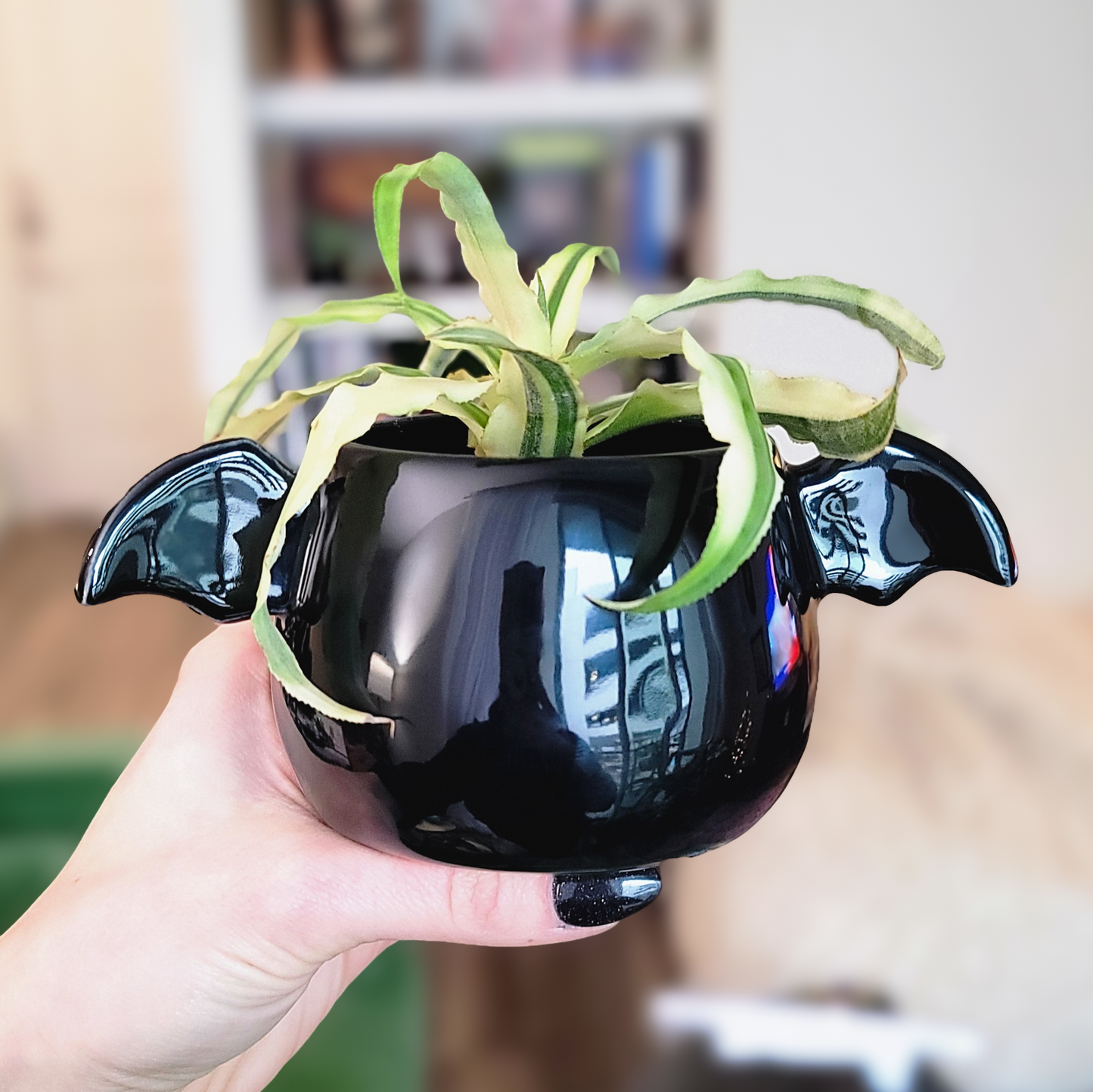 Winged Planter - Glossy Black (M) #2