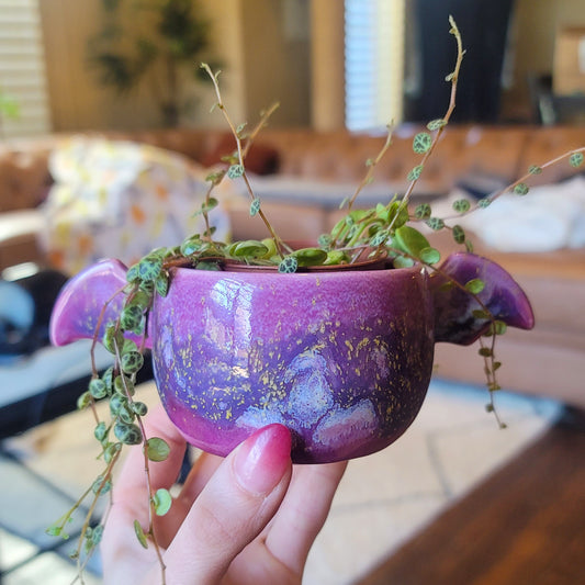 Winged Planter - Crystalline Plum