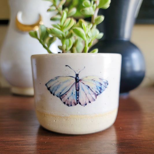 Butterfly Planter