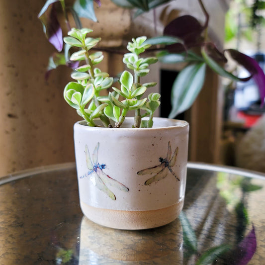 Dragonfly Planter