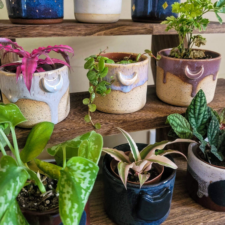 Planters & Garden Accessories