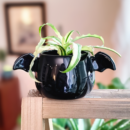 Winged Planter - Glossy Black (M) #2