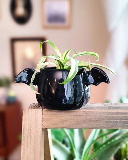 Winged Planter - Glossy Black (M) #2