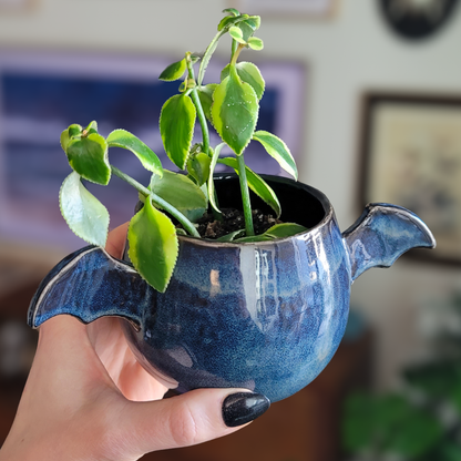 Winged Planter - Denim (M) #1