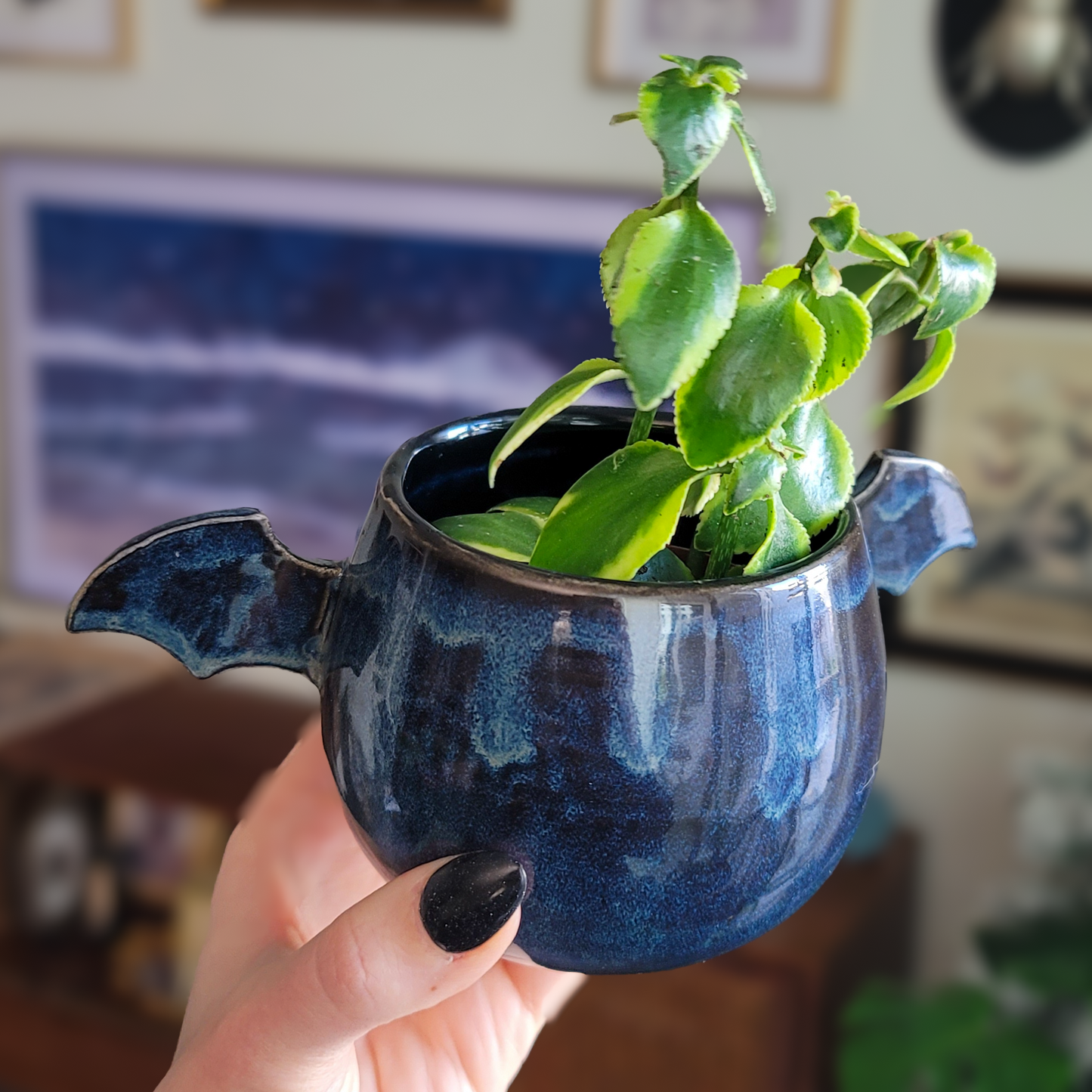 Winged Planter - Denim (M) #1