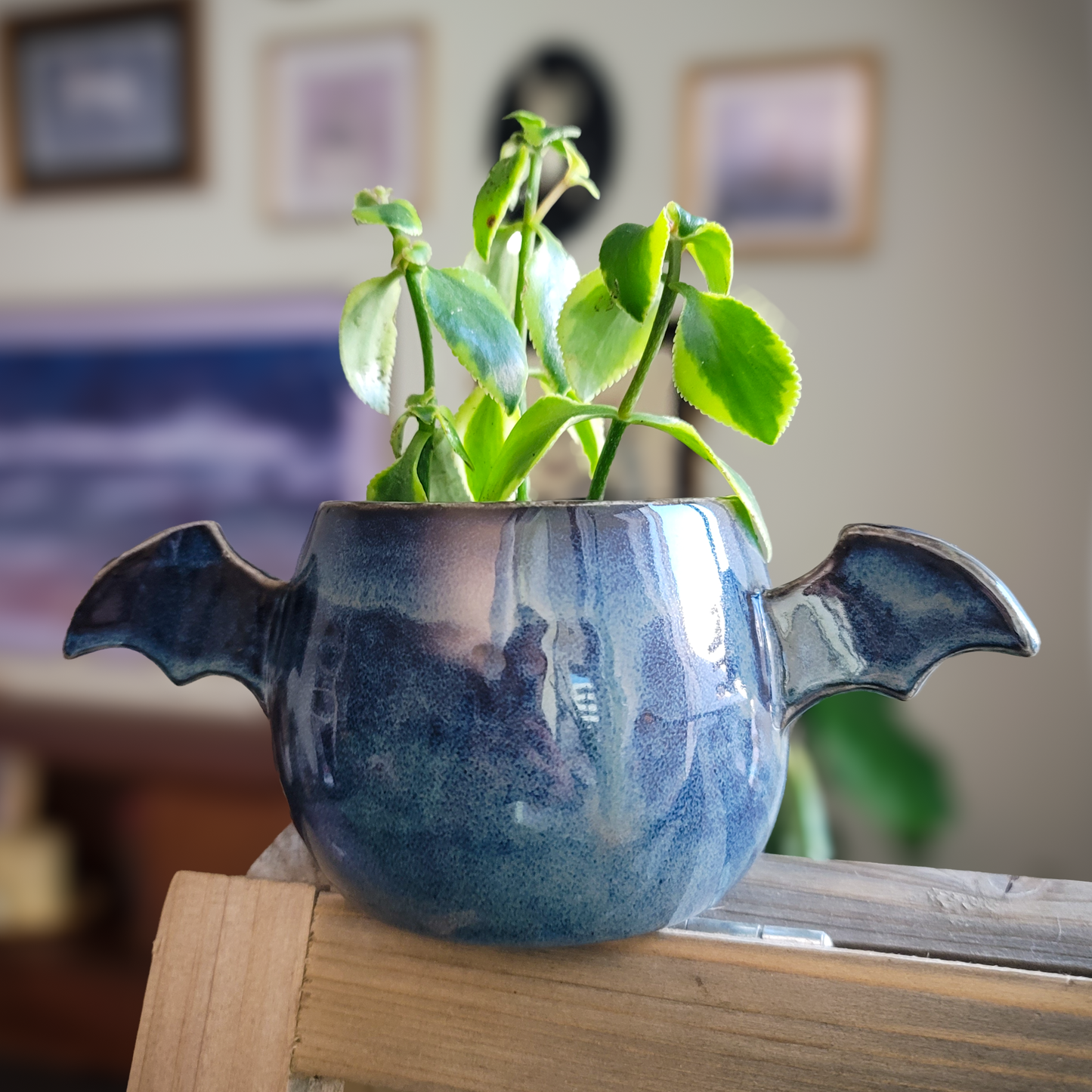 Winged Planter - Denim (M) #1