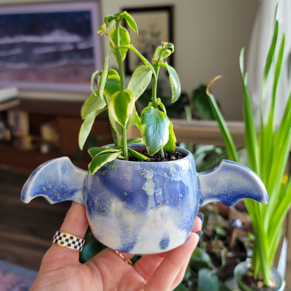 Winged Planter - Watercolor Blue #3