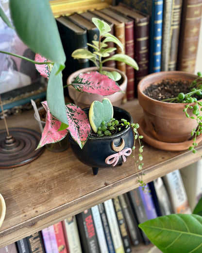 Crescent Bow Cauldron