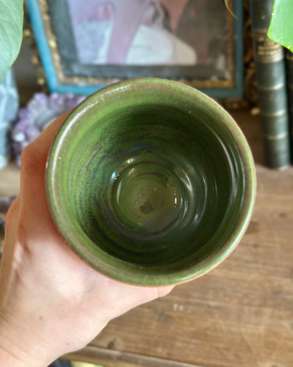 Maybe Today Satan Tumbler - Monstera (12oz)