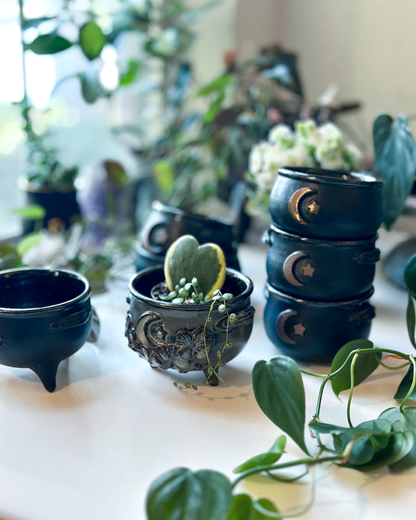 Moonlight Garden Cauldron
