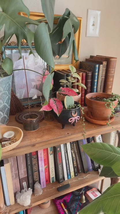 Crescent Bow Cauldron