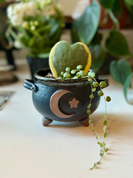 Luna Starlight Cauldron