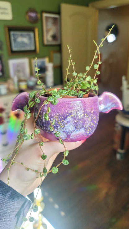 Winged Planter - Crystalline Plum