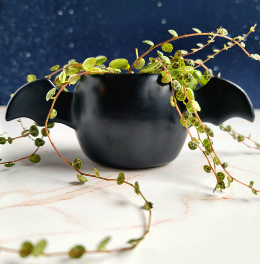 Winged Planter - Satin Black
