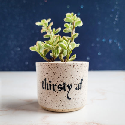 Thirsty AF Planter