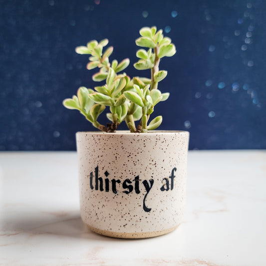 Thirsty AF Planter