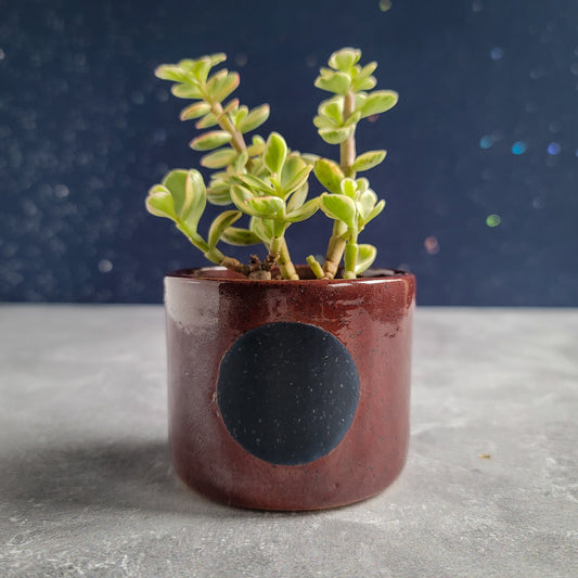 Blood Moon Planter
