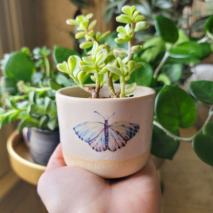Butterfly Planter