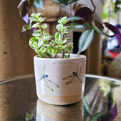 Dragonfly Planter