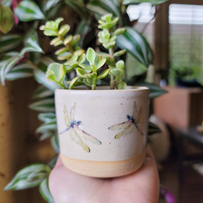 Dragonfly Planter