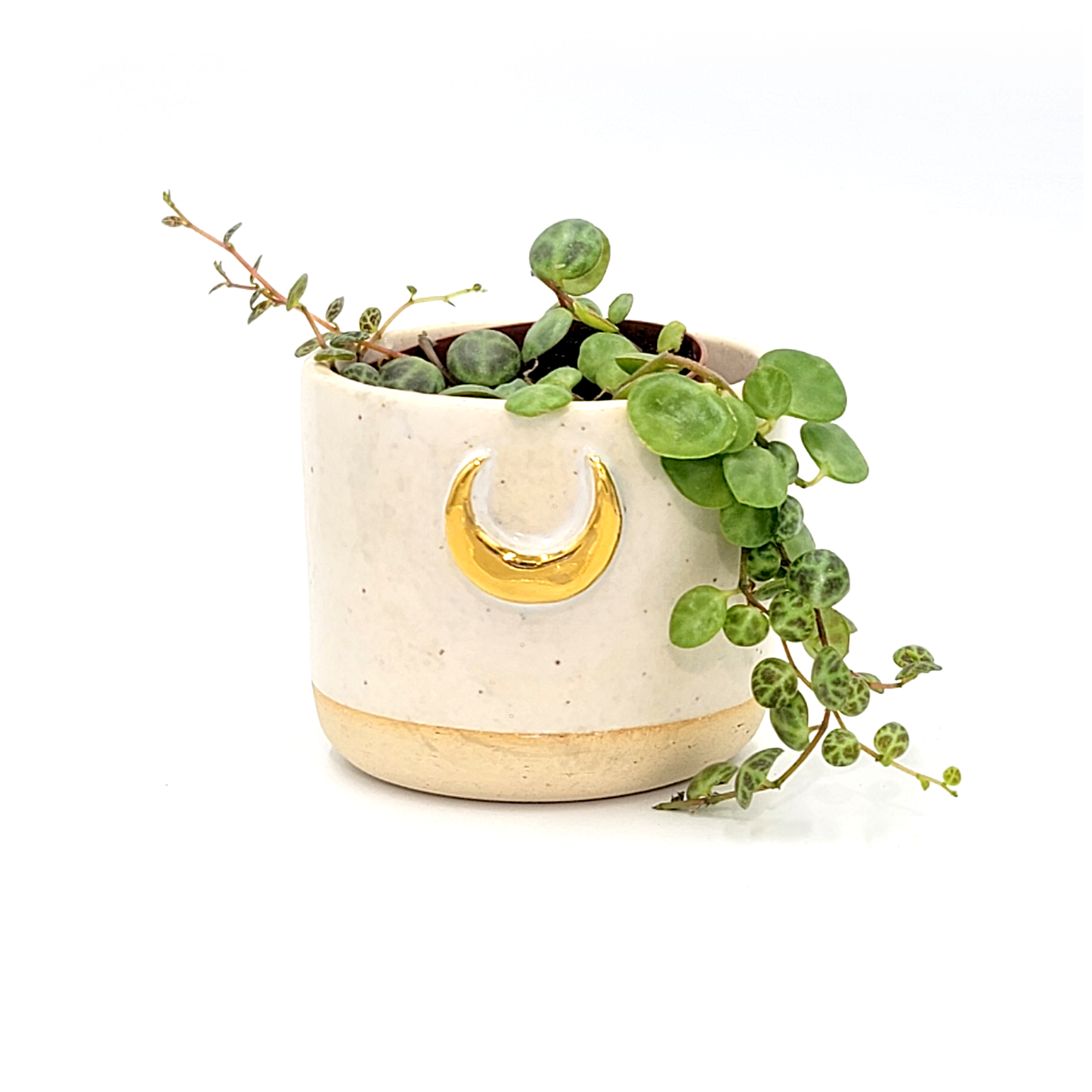 White Moon Gilded Planter (Made to Order)