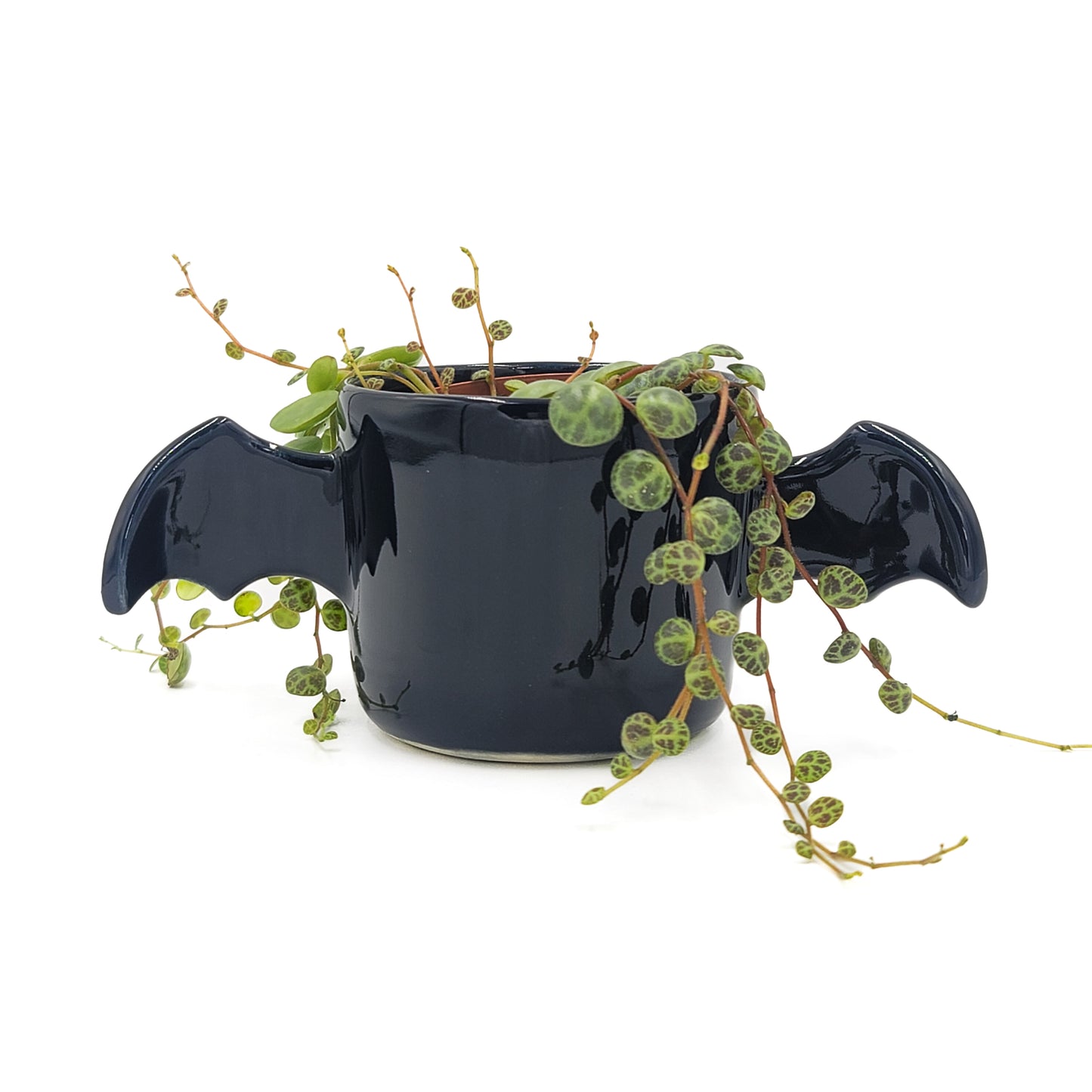Winged Planter - Black