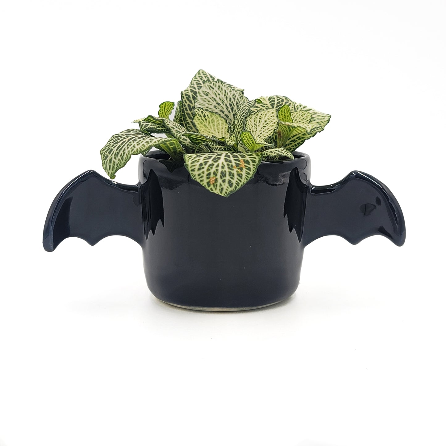 Winged Planter - Black