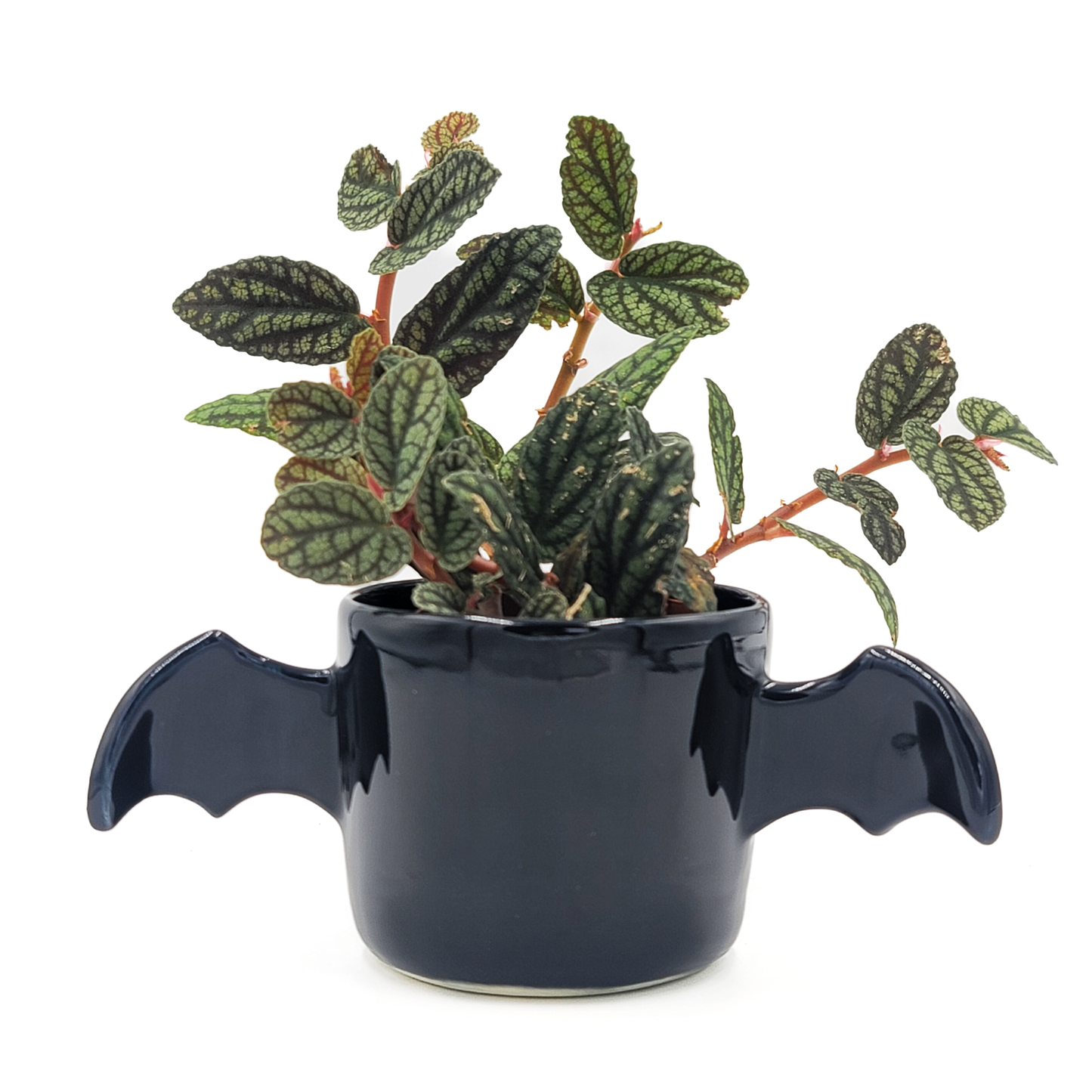 Winged Planter - Black